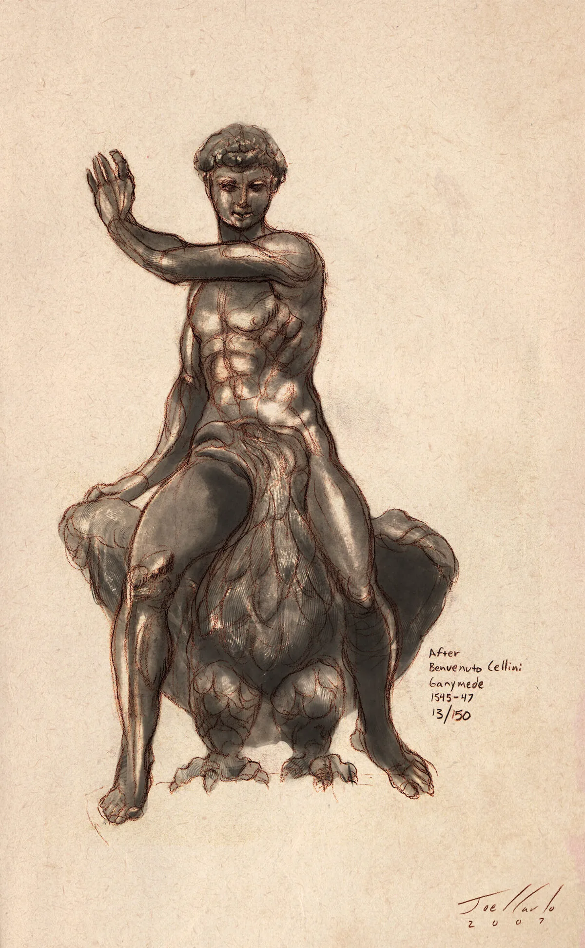 Anatomy Lesson Series Torsos