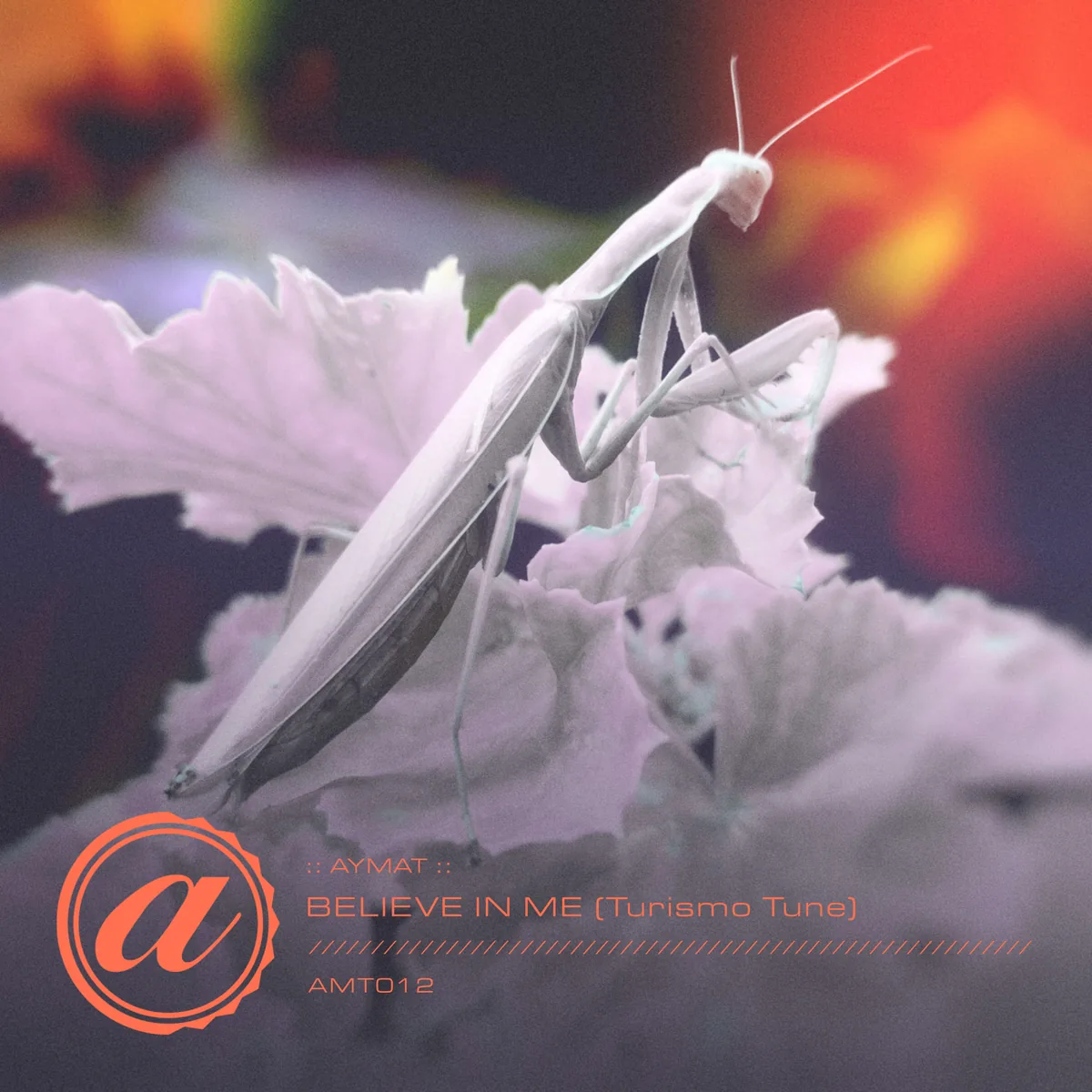 AMT012 Believe In Me by Aymat, Aymat Recordings release cover art
